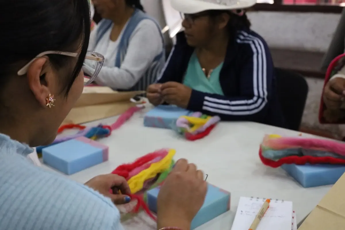 CITE Textil Camélidos Arequipa (ITP)